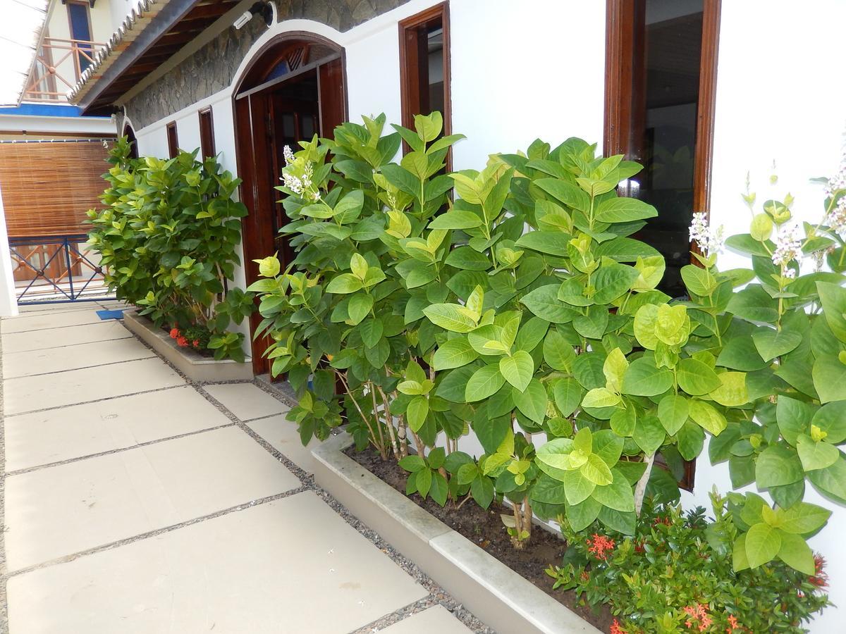 Garapua Praia Hotel エクステリア 写真